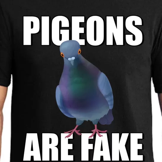 Pigeons Are Fake Liars Birds Are Not Real Spies Gift Pajama Set