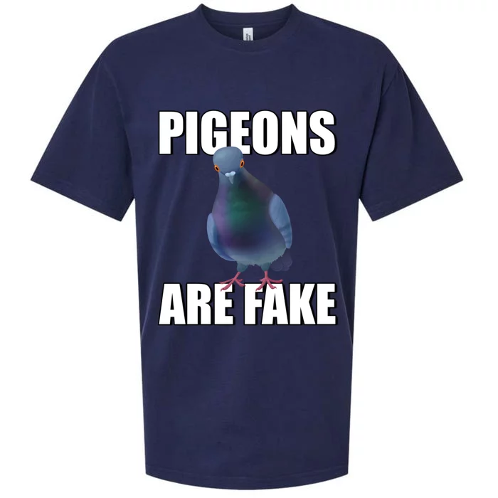 Pigeons Are Fake Liars Birds Are Not Real Spies Gift Sueded Cloud Jersey T-Shirt