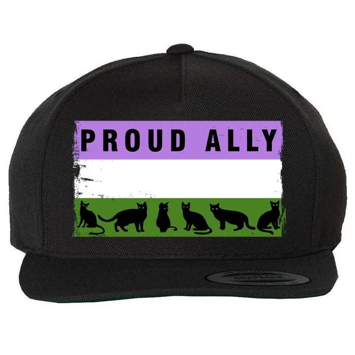 Proud Ally Genderqueer Cats Pride Cool Gift Wool Snapback Cap