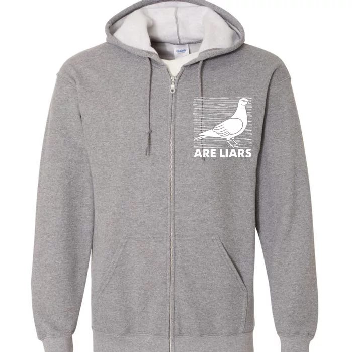 Pigeons Are Liars ArenT Real Spies Birds Pun Full Zip Hoodie