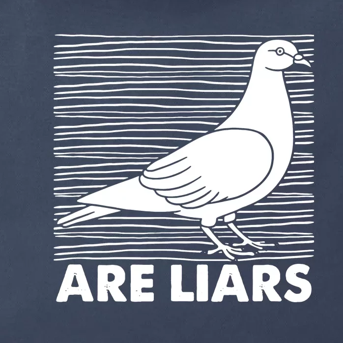 Pigeons Are Liars ArenT Real Spies Birds Pun Zip Tote Bag