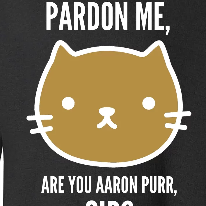 Pardon Me Are You Aaron Purr, Sir? Toddler Sweatshirt