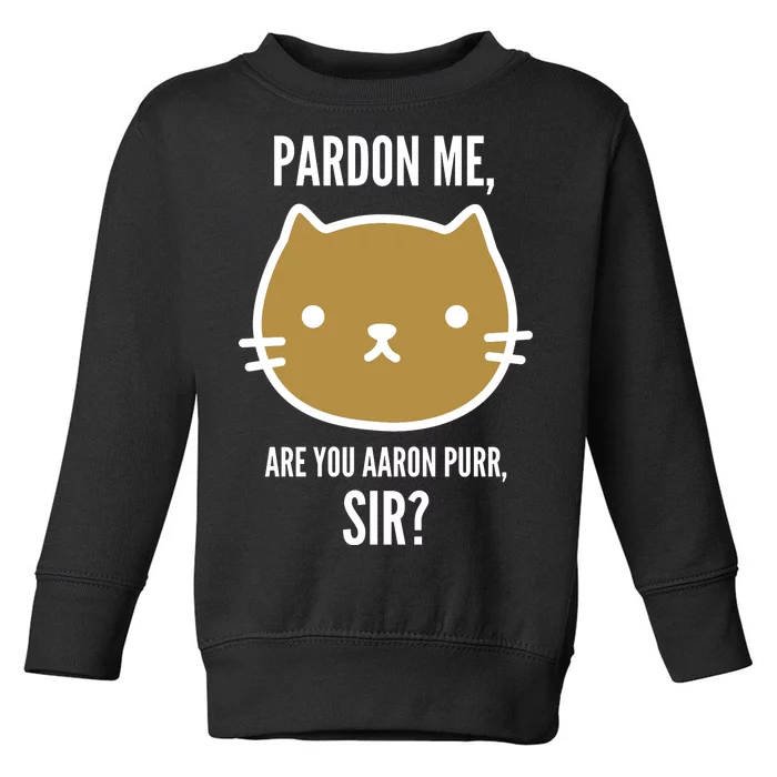 Pardon Me Are You Aaron Purr, Sir? Toddler Sweatshirt