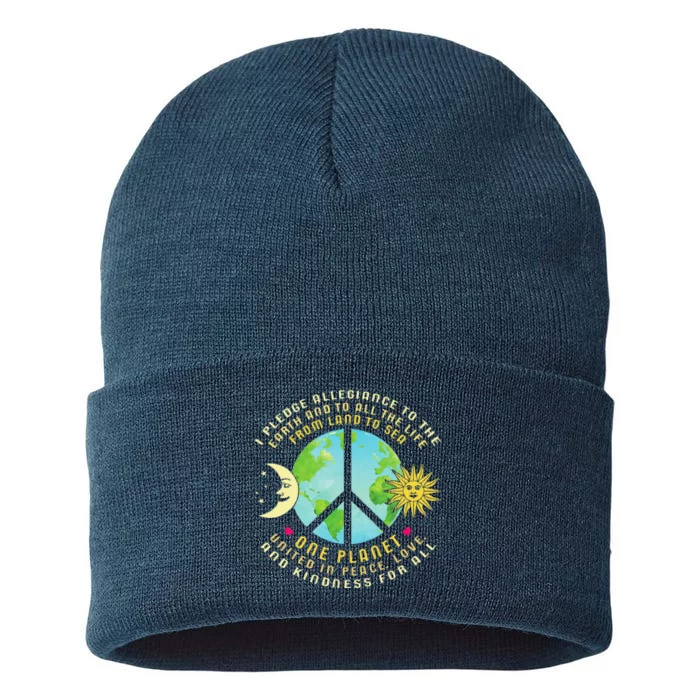 Pledge Allegiance To The Earth Earth Day Sustainable Knit Beanie