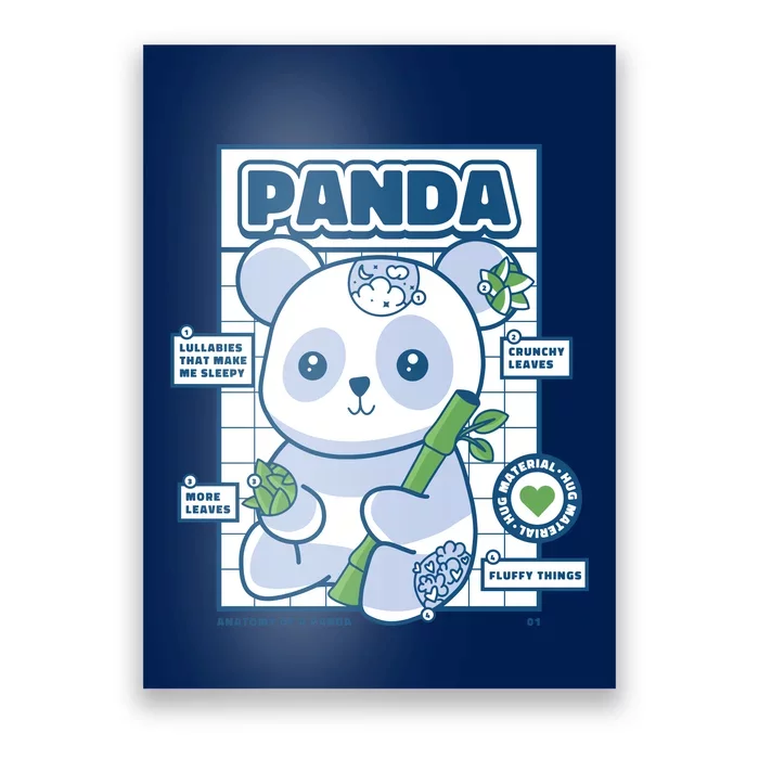 Panda Bear Animal Anatomy Poster