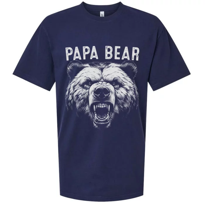 Papa Bear Best Idea Fathers Day Funny Bear Gifts Sueded Cloud Jersey T-Shirt