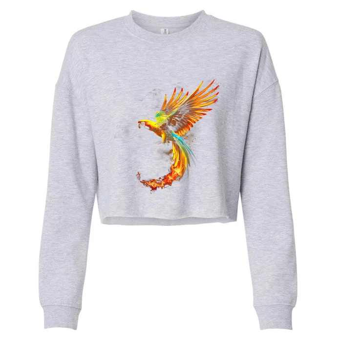 Parrot Bird Colorful Plume Feathers Birdwatching Gift Cute Gift Cropped Pullover Crew