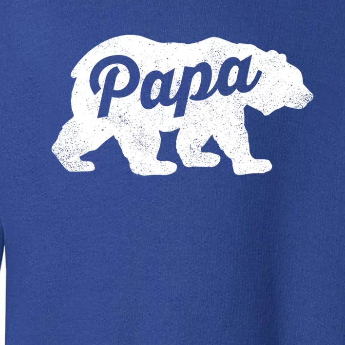 Papa Bear Cute Fathers Day Top Gift Toddler Sweatshirt