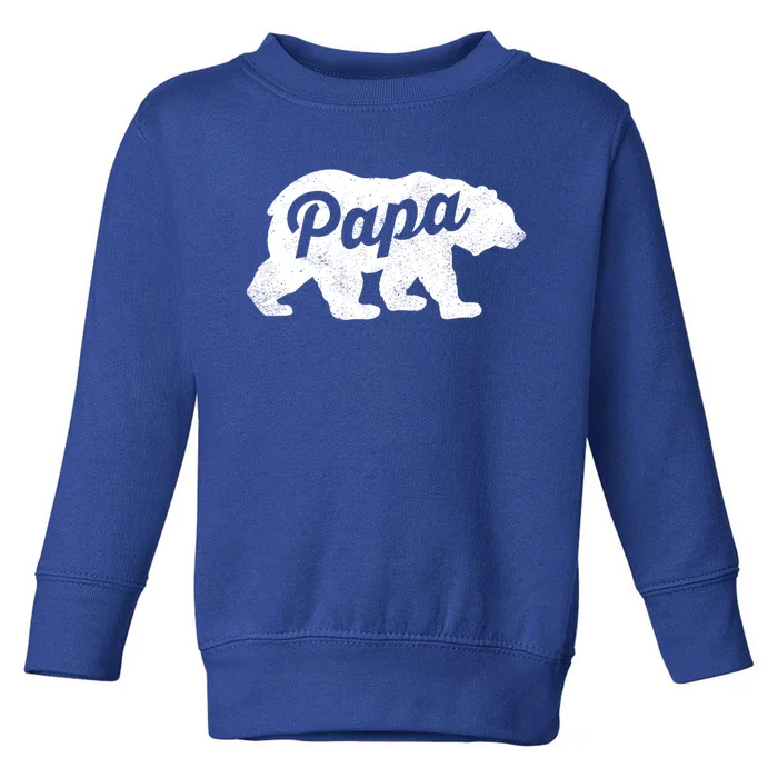 Papa Bear Cute Fathers Day Top Gift Toddler Sweatshirt