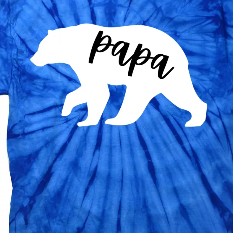 Papa Bear Cute Gift Tie-Dye T-Shirt