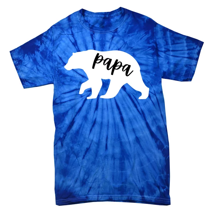 Papa Bear Cute Gift Tie-Dye T-Shirt