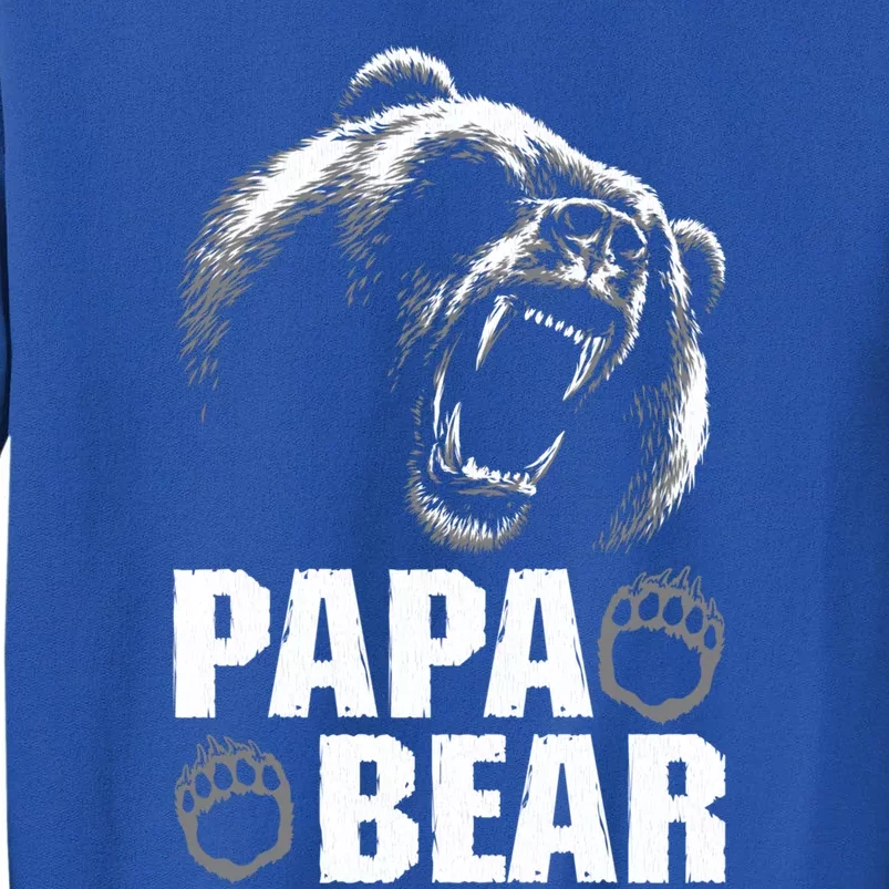 Papa Bear Dad Fathers Day Cool Gift Tall Sweatshirt