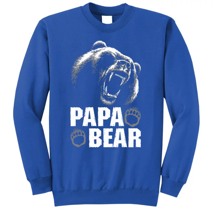 Papa Bear Dad Fathers Day Cool Gift Tall Sweatshirt