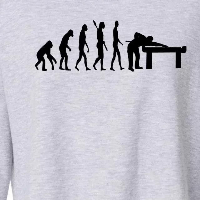 Pool Billiard Evolution Snooker Player Table 8 Ball Cues Cute Gift Cropped Pullover Crew