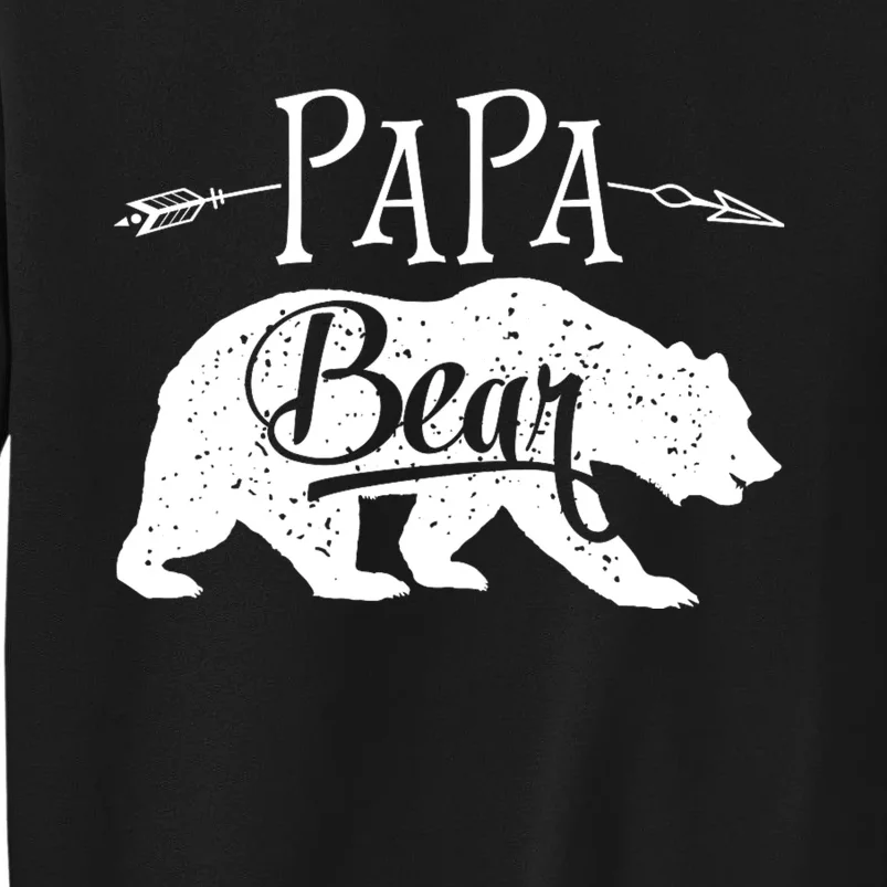 Papa Bear Fathers Day Family Matching Couple Sweatshirt