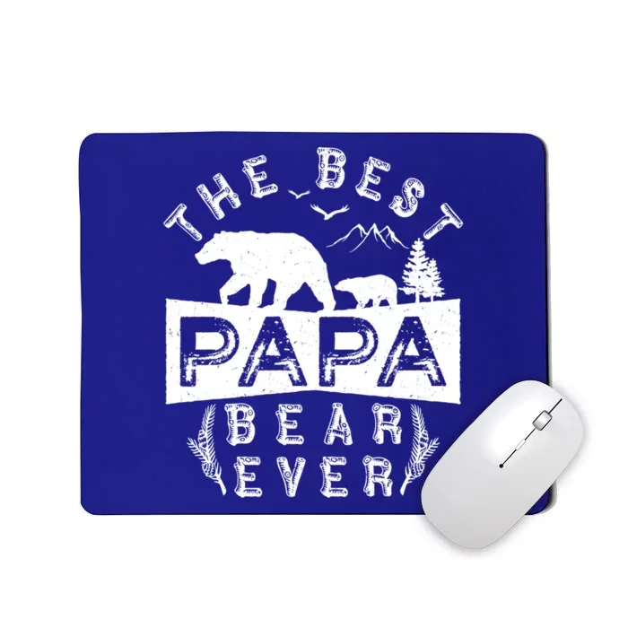 Papa Bear Funny Gift With Cub Dad Christmas Birthday Gift Mousepad