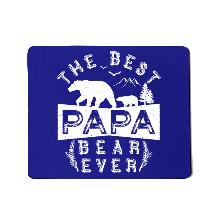 Papa Bear Funny Gift With Cub Dad Christmas Birthday Gift Mousepad