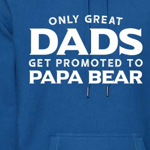 Papa Bear Gift: Only Great Dads Get Promoted To Papa Bear Great Gift Premium Hoodie