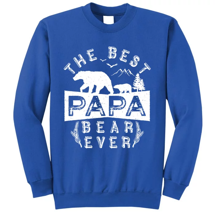 Papa Bear Gift With Cub Dad Christmas Birthday Gift Sweatshirt