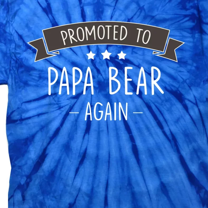 Papa Bear: New Promoted To Papa Bear Again Gift Tie-Dye T-Shirt