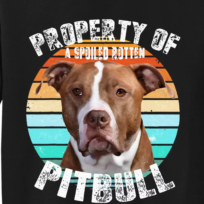 Pit Bull Owner Lover Retro Pitbull Tall Sweatshirt