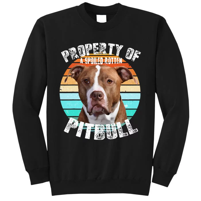 Pit Bull Owner Lover Retro Pitbull Tall Sweatshirt