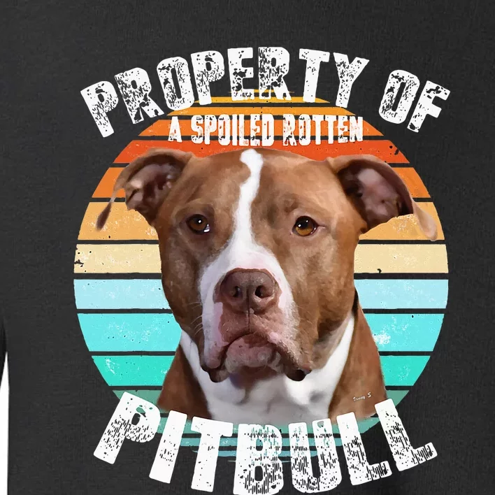 Pit Bull Owner Lover Retro Pitbull Toddler Sweatshirt