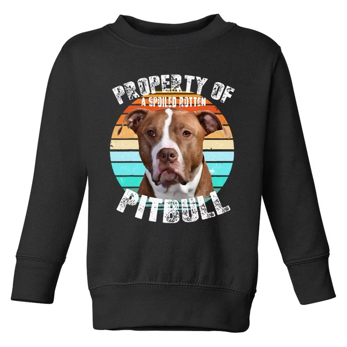 Pit Bull Owner Lover Retro Pitbull Toddler Sweatshirt