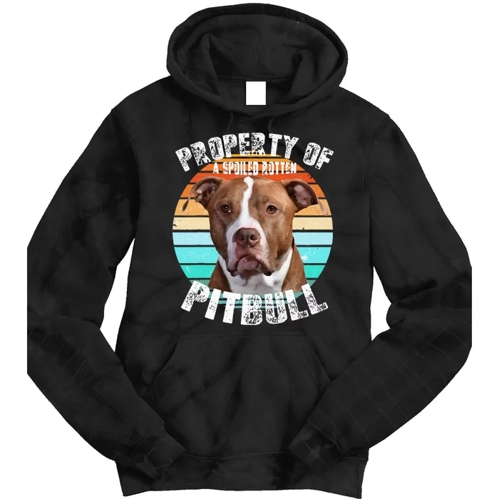 Pit Bull Owner Lover Retro Pitbull Tie Dye Hoodie