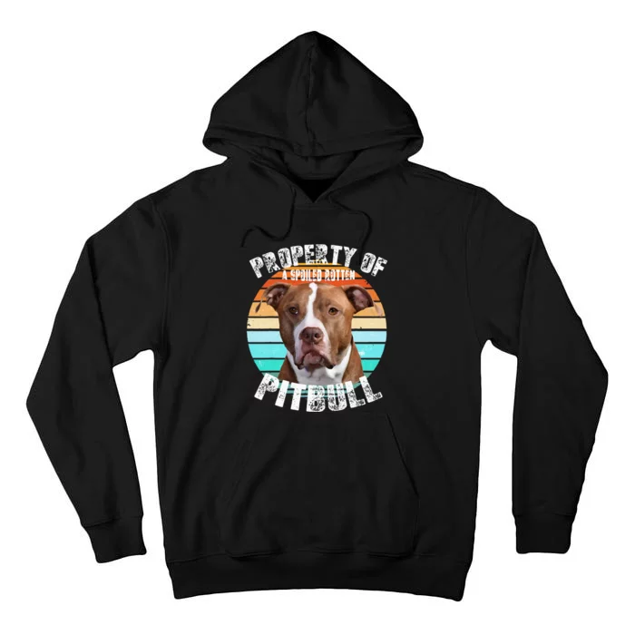 Pit Bull Owner Lover Retro Pitbull Tall Hoodie