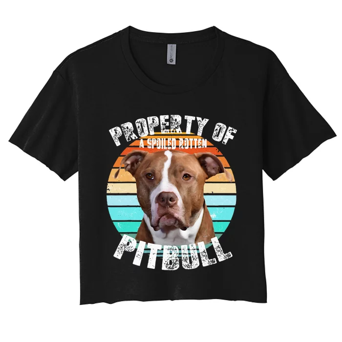 Pit Bull Owner Lover Retro Pitbull Women's Crop Top Tee