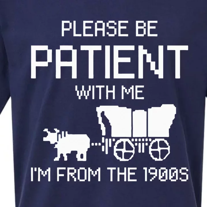 Please Be Patient With Me IM From The 1900s Sueded Cloud Jersey T-Shirt