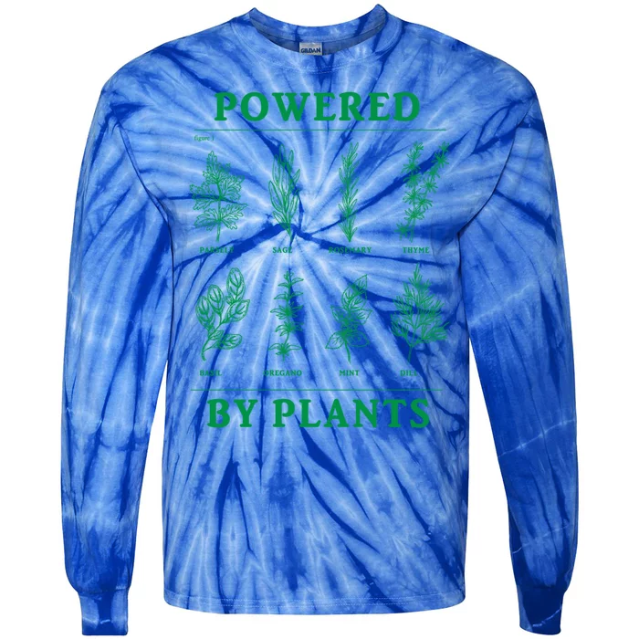 Powered By Plants Vegan Vegetarian Plantmeaningful Giftbased Gift Tie-Dye Long Sleeve Shirt