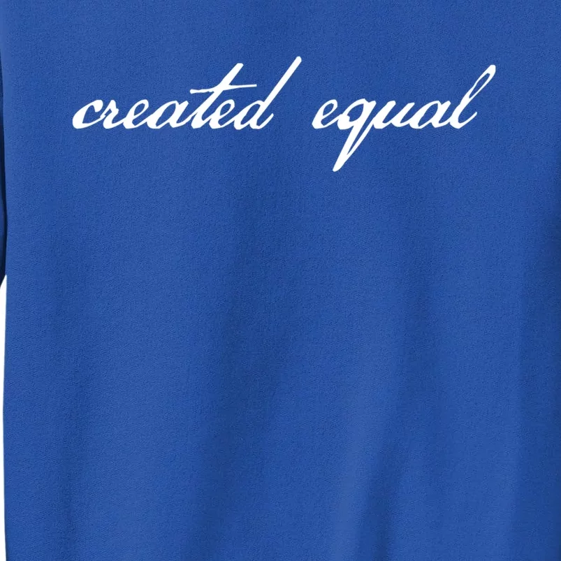 Pro Basic Rights Created Equal Gift Sweatshirt