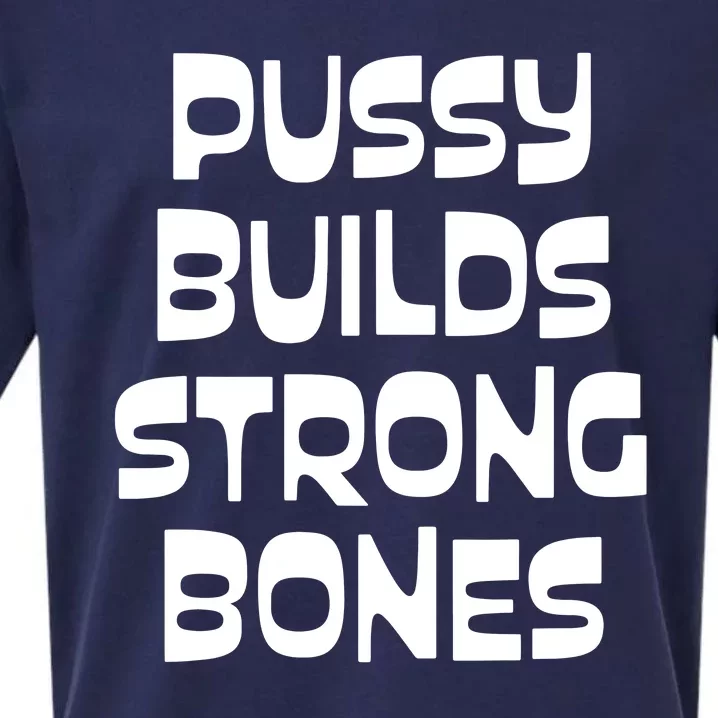 PUSSY BUILDS STRONG BONES Sueded Cloud Jersey T-Shirt