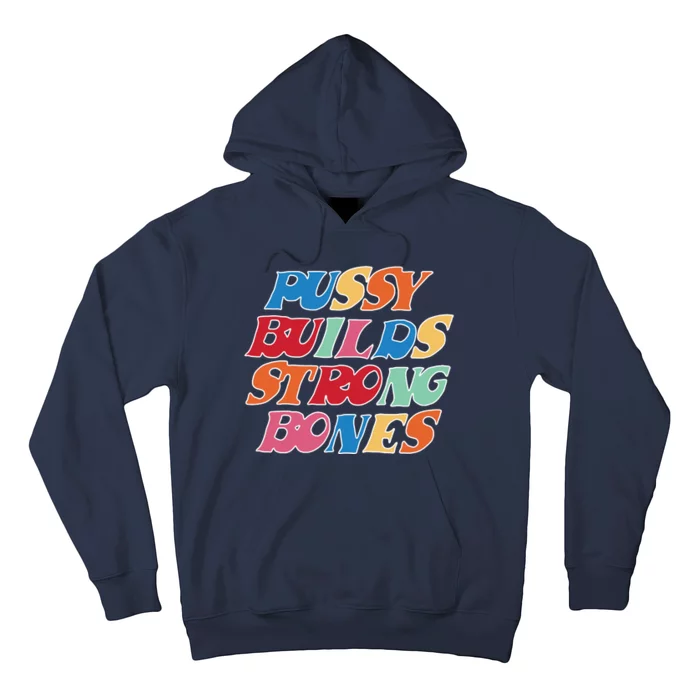 Pussy Builds Strong Bones Retro Colorful Logo Hoodie