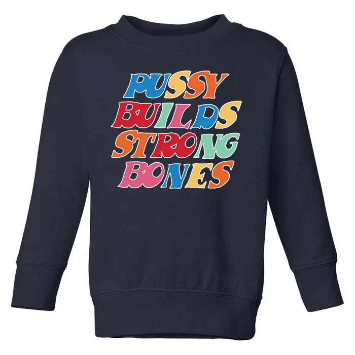 Pussy Builds Strong Bones Retro Colorful Logo Toddler Sweatshirt