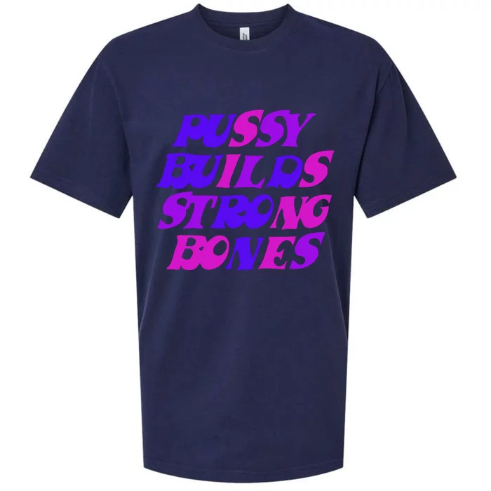 Pussy Builds Strong Bones Shirt PBSB Colored Sueded Cloud Jersey T-Shirt