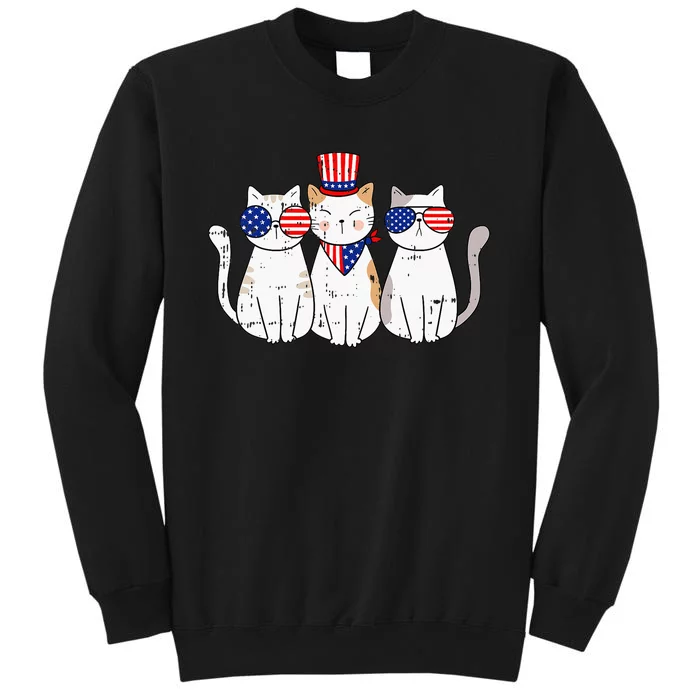 Patriotic Cat 4th Of July Funny Kitten Cat Lover Pet Owner Sweatshirt