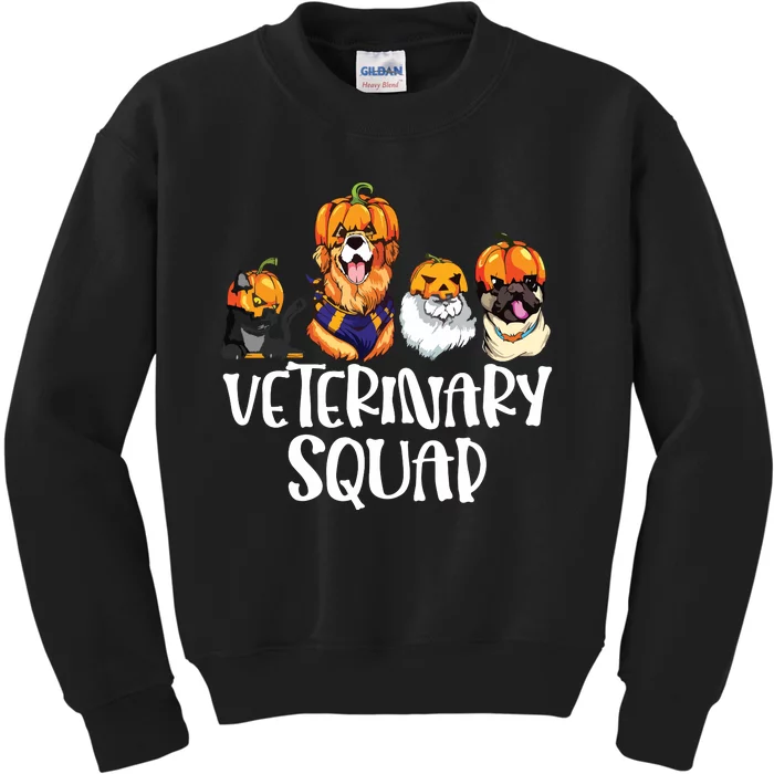 Pumpkin Cats And Dogs Fall Season Outfit Halloween Vet Squad Kids Sweatshirt