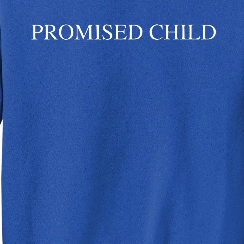 Promised Child Born Again by Faith in Jesus Christ Sweatshirt