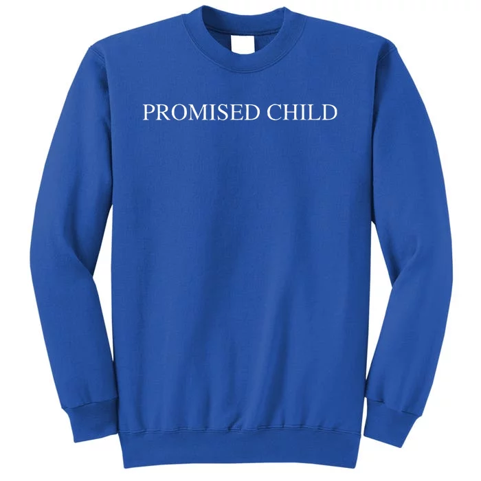 Promised Child Born Again by Faith in Jesus Christ Sweatshirt