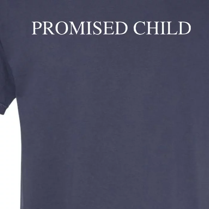 Promised Child Born Again by Faith in Jesus Christ Garment-Dyed Heavyweight T-Shirt