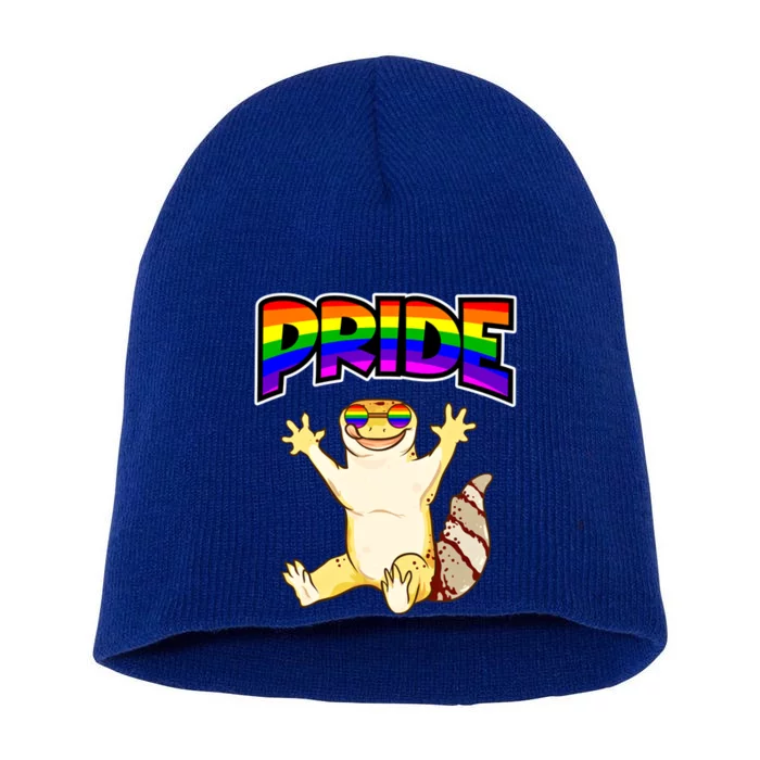 Pride Critter Colorful Rainbow Lgbtq Rainbow Pride Gift Short Acrylic Beanie