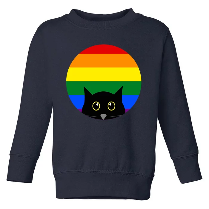 Peeking Cat Colorful Rainbow Toddler Sweatshirt