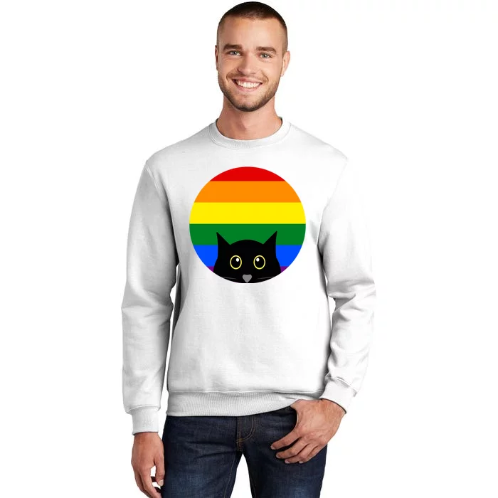 Peeking Cat Colorful Rainbow Sweatshirt