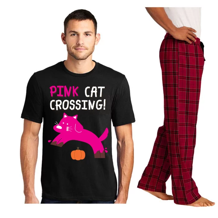 Pink Cat Crossing Pumskin Funny Halloween Gift Pajama Set