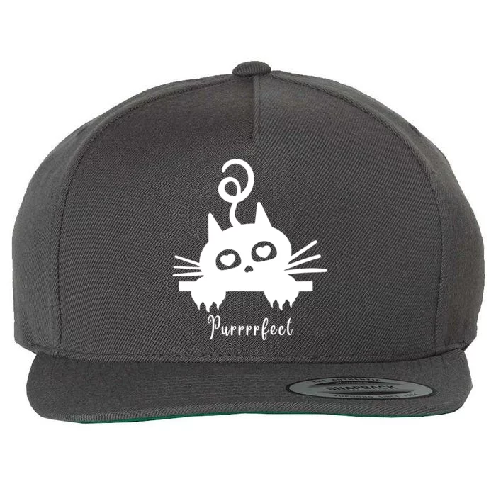 Purrrfect Cute Cat Wool Snapback Cap