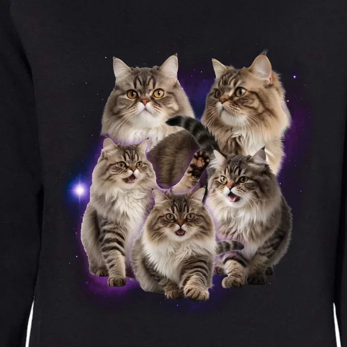 Persian Cats Collage Womens California Wash Sweatshirt