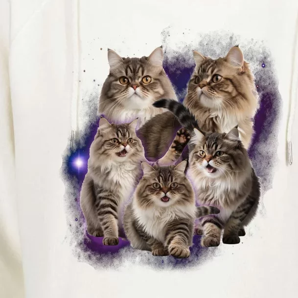 Persian Cats Collage Womens Funnel Neck Pullover Hood